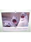 Настенный перекидной календарь «Приклей свое настроение: Забавные животные 2019 г» формата А3