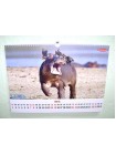 Настенный перекидной календарь «Приклей свое настроение: Забавные животные 2019 г» формата А3