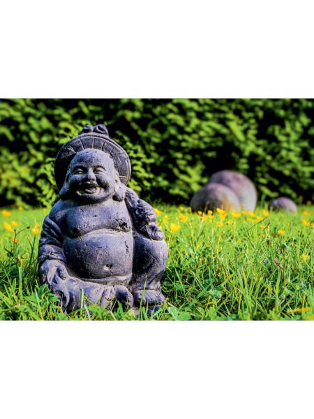 Постер фэн-шуй со статуей Будды на траве