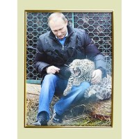 Постер в золотой рамке 30х40 см Путин В.В. (арт. 0203)