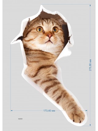 Наклейка 3D "Котик" 10101