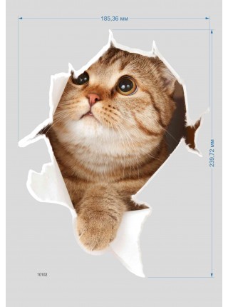 Наклейка 3D "Котик" 10102
