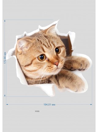 Наклейка 3D "Котик" 10103