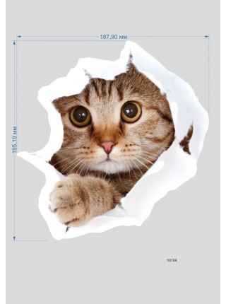 Наклейка 3D "Котик" 10104