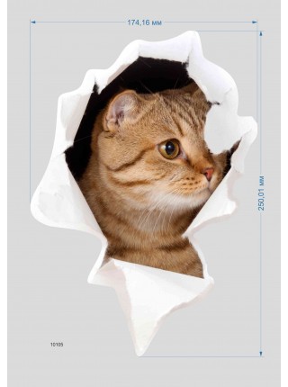 Наклейка 3D "Котик" 10105